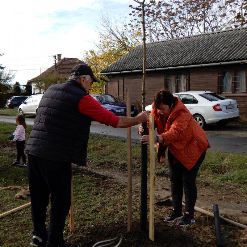 Közösségi faültetés Berettyóújfaluban 27